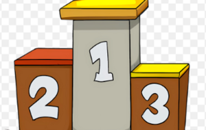 1er Championnat, 1ères médailles !